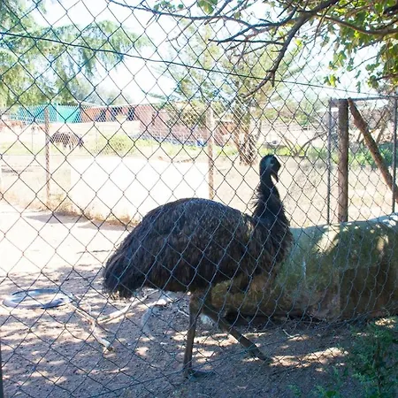 Villa Catalunya Casas An Oasis For Up To 26 Nature Loving Guests!
